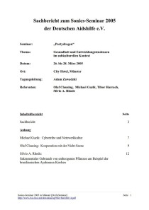 Sachbericht zum Sonics-Seminar 2005 der Deutschen Aidshilfe e.V.  (eve&rave Münster e.V., April 2005)